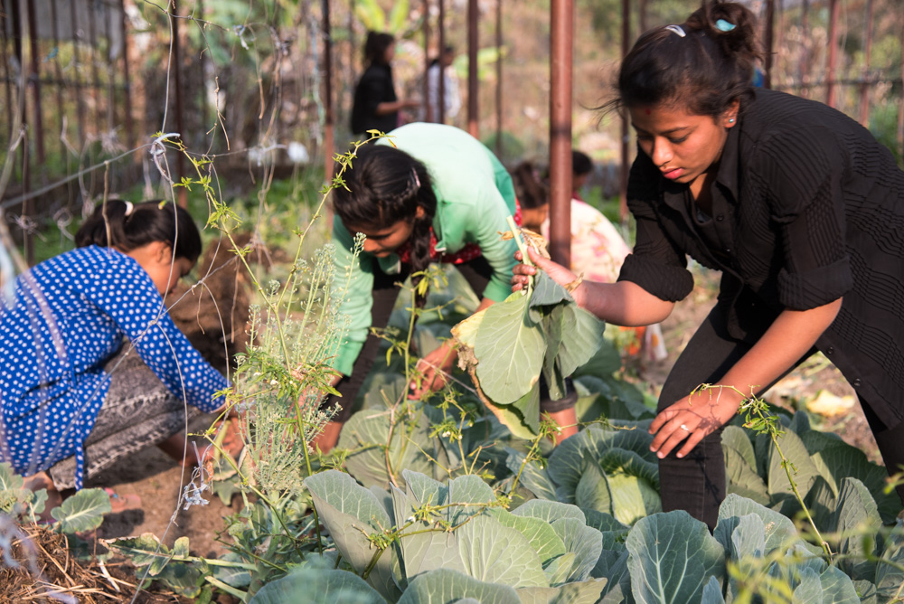 De meisjes leren ook zelf groente verbouwen